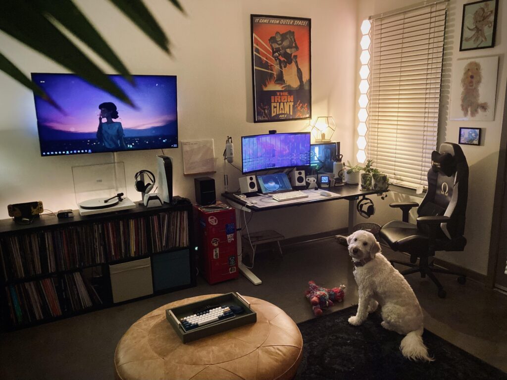 Where should I put my plants?