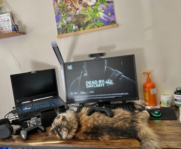 How is my luxurious furry organic keyboard? Does the color fit?