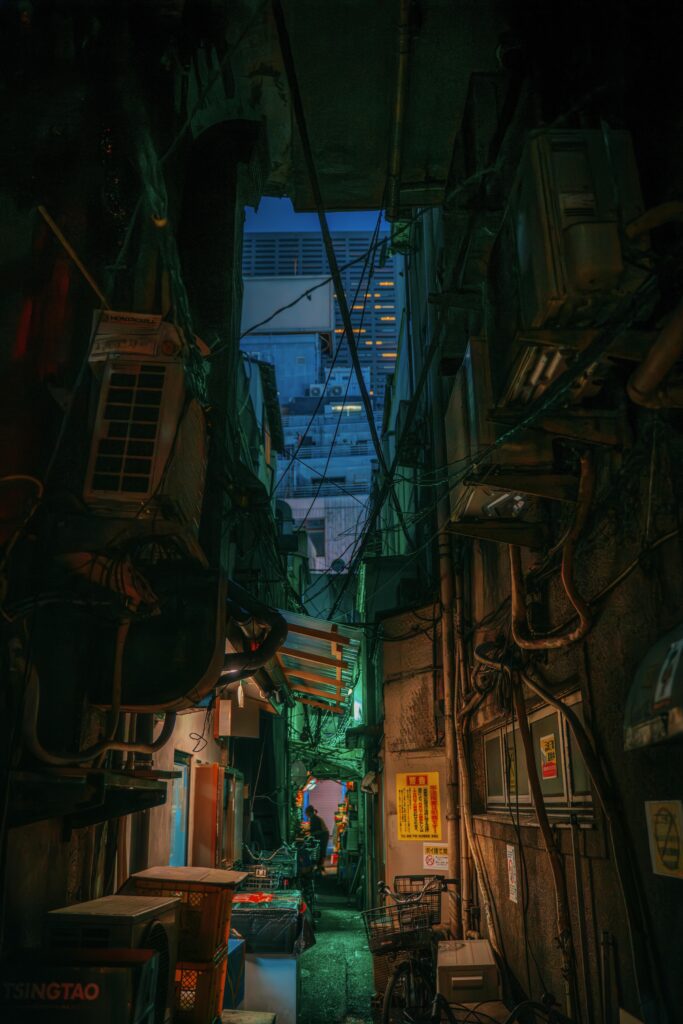 Tokyo, Kabukicho