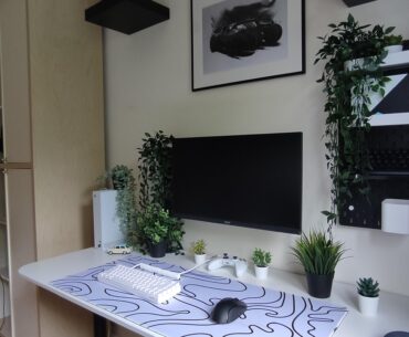 Can you see I like fake plants?
