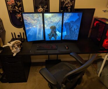 This one goes out to the individual who criticized my use of a vertical monitor