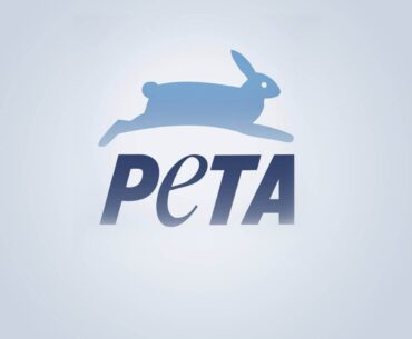 PETA rewrites the Bible with the help of ChatGPT to make the Book of Genesis 'vegan' friendly