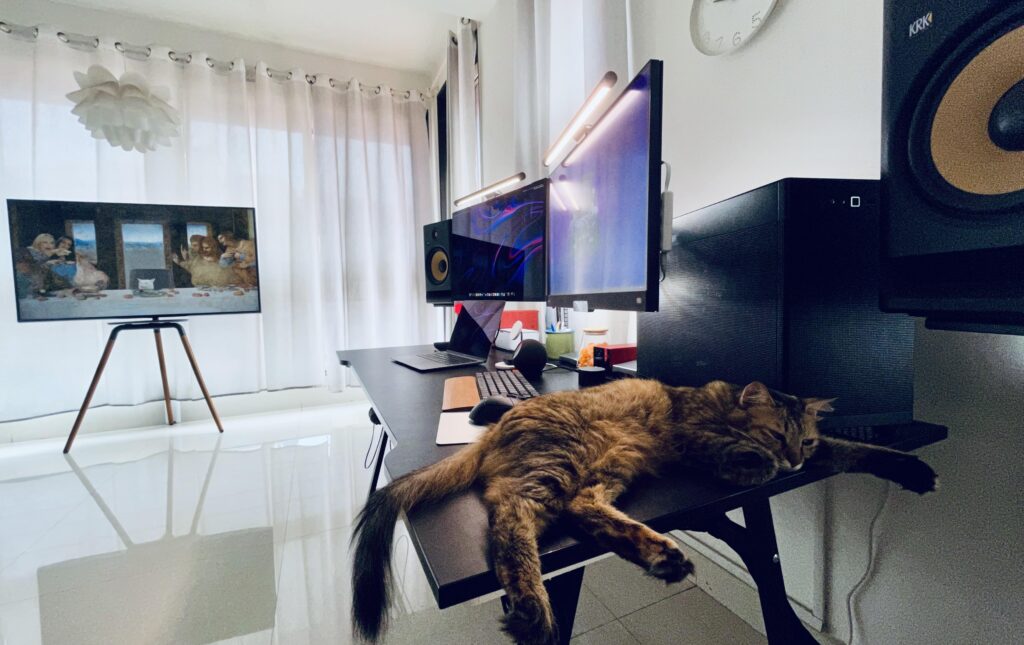 Work/Play Mac+PC+Cat