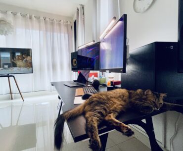 Work/Play Mac+PC+Cat