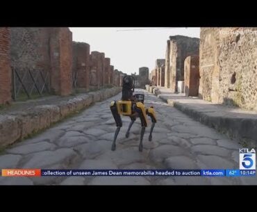 Los Angeles City Council approves ‘robot dog’ for police force