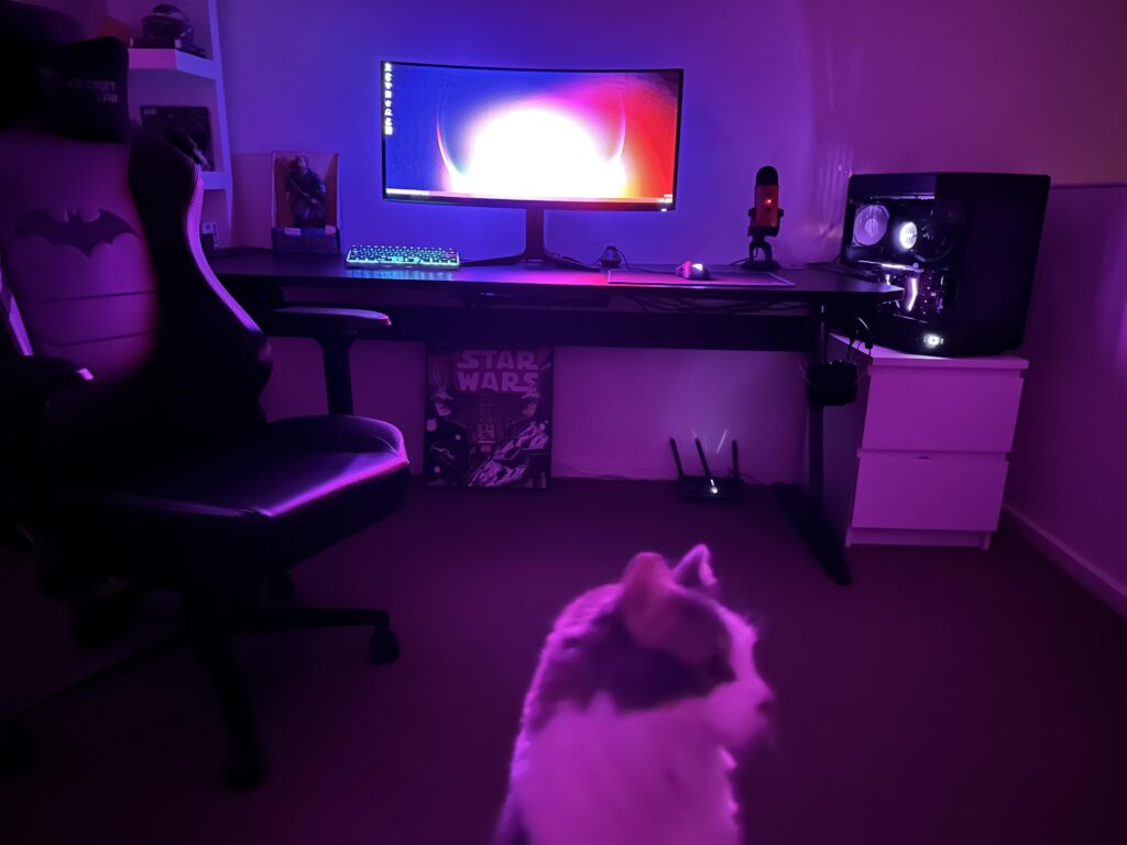My new setup (cat acquired separately)
