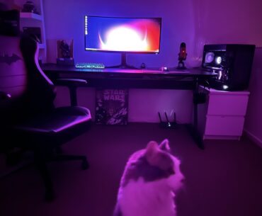 My new setup (cat acquired separately)