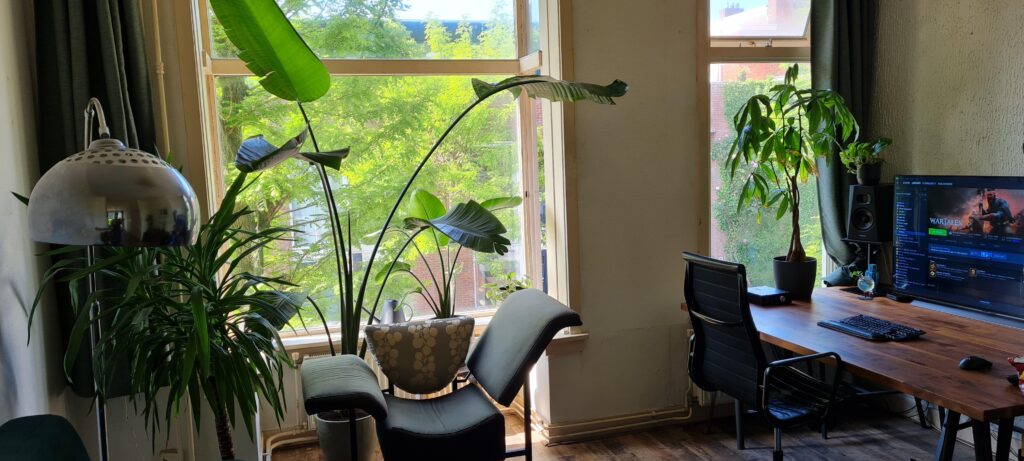 Videogames and plants, what more does one need?