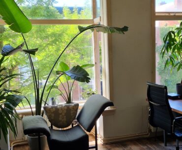 Videogames and plants, what more does one need?