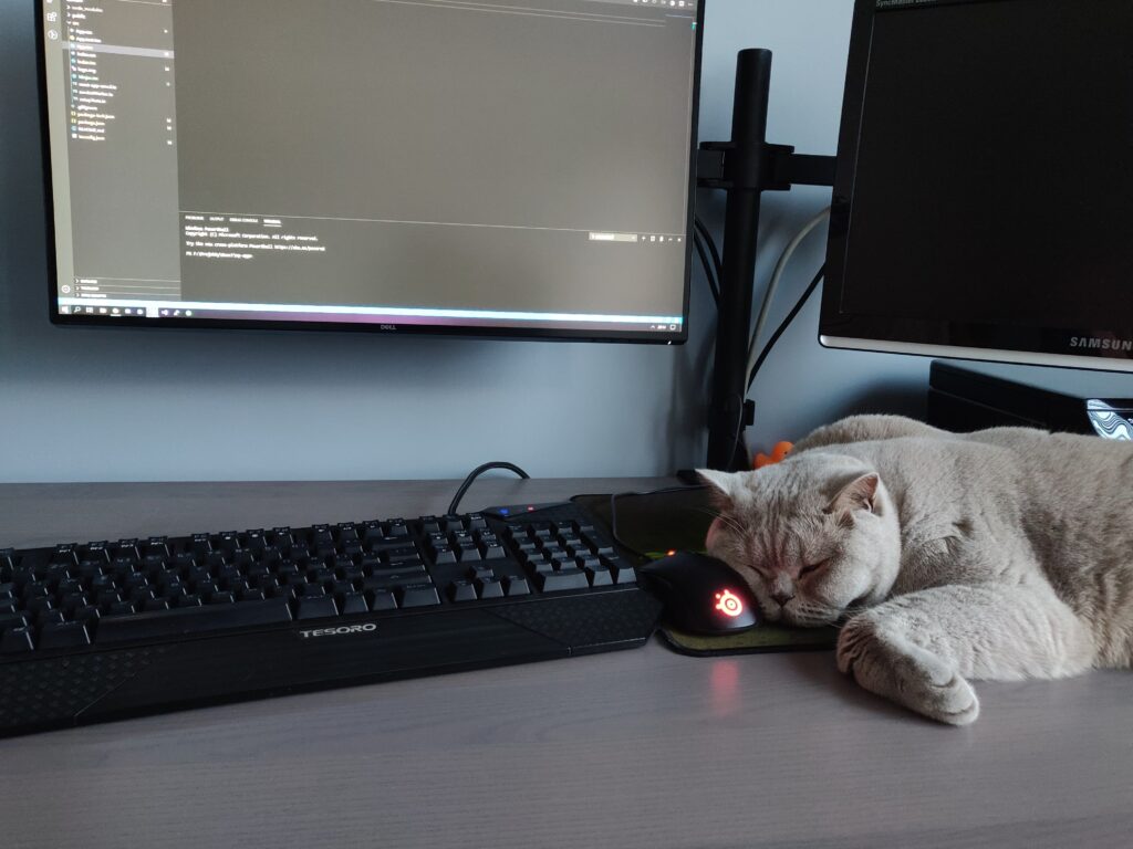 CatZ Station