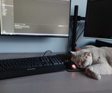 CatZ Station