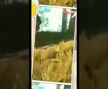 The best content for short and sweet multiplayer gaming