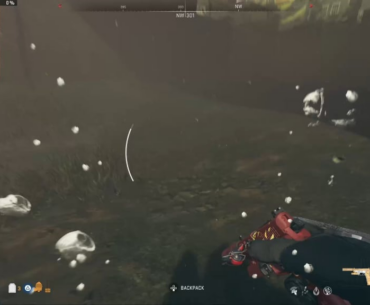 Patrolling the shallows