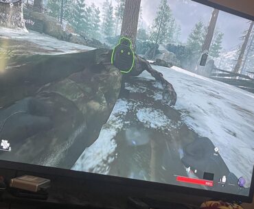Decoy glitch