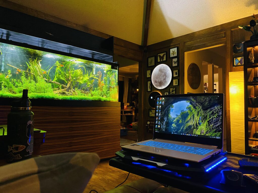 Laptop for every now and then (not my main battle station)