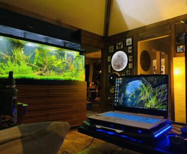 Laptop for every now and then (not my main battle station)