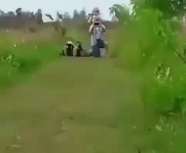 watching everyone use the Lachman 556 and TAQ-V, While I've been using the Sakin MG38 feels like...