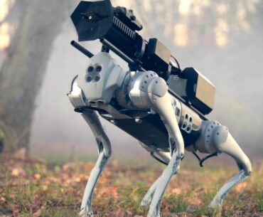 Thermonator, your flame throwing robotic best friend!