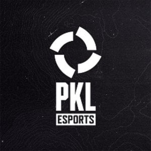 I found someone on Twitch to broadcast the PGS2 China Qualifiers