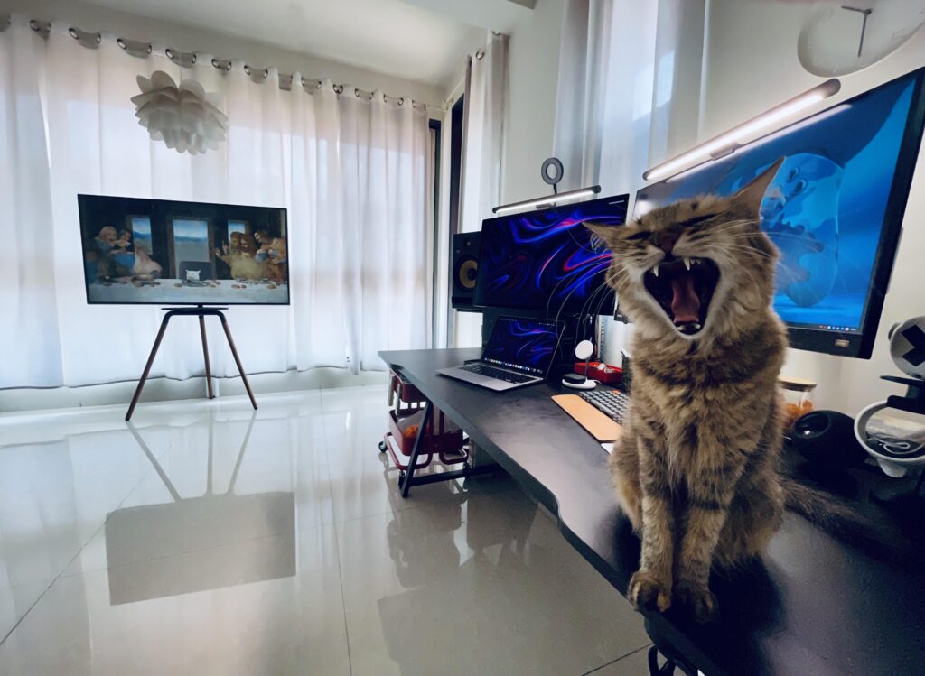 "NO SETUP PIC FOR YOU!"