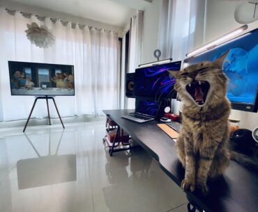 "NO SETUP PIC FOR YOU!"