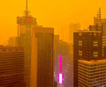 New York rn.. very sad but cool. Dystopia already