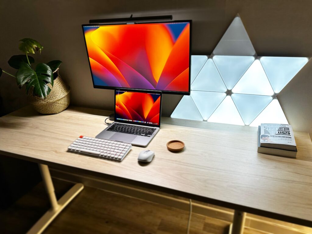 study setup