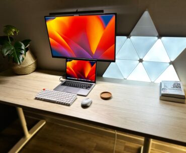study setup