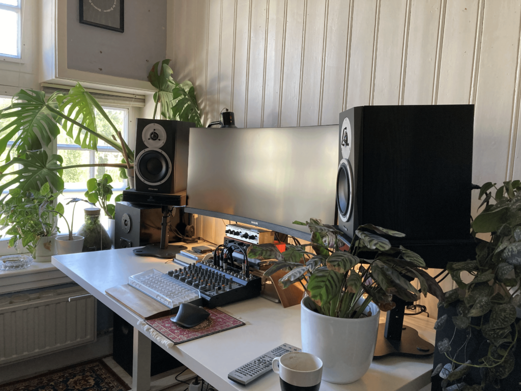 My improved home production setup / indoor botanical garden