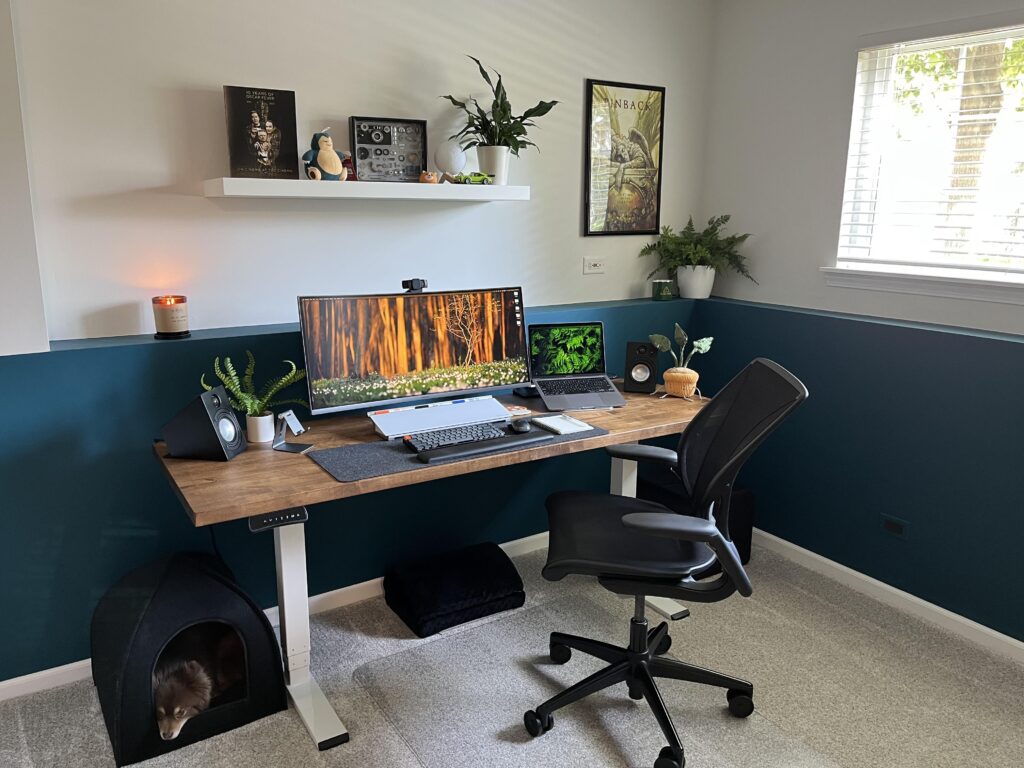 My WFH setup