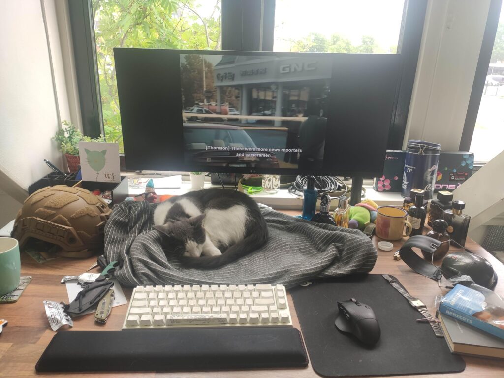 My Cattlestation
