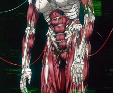 Ghost in the Shell: Stand Alone Complex