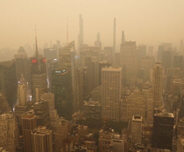 New York 2049