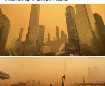 The world we live in.