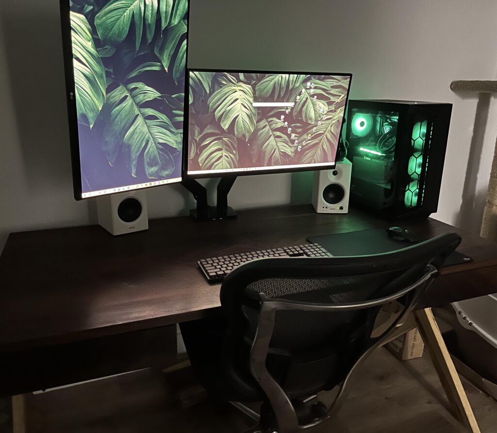 Gaming/Work Set Up