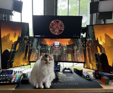 The Cat Stole My Setup