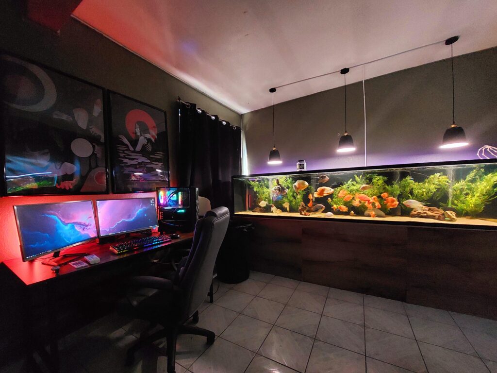 Gaming with the fishies