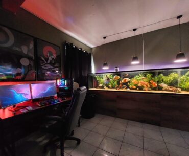 Gaming with the fishies