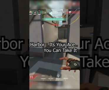I Hate My Teammates #valorant