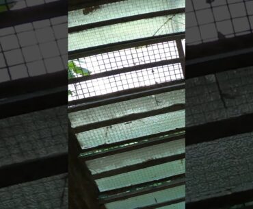 espiadinha na janela #shorts #airsoft #shortsviral #fpsgames #fps