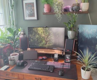 Welcome to my little jungle. Where should I go from here?