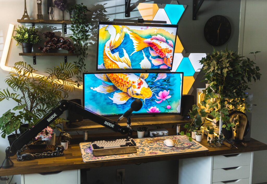 Koi Fish