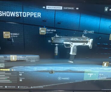 Need help deciding which to choose (Warzone 2.0)