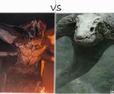 Who wins