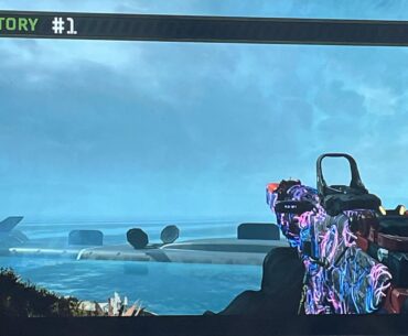 Another dub with a sparrow and peacekeeper