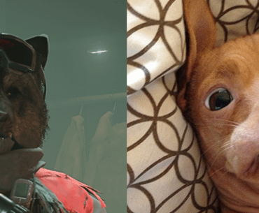 The Wolf & Phteven giving off the same vibe