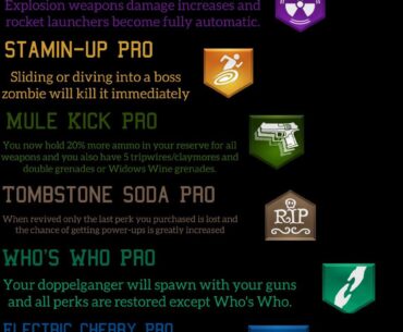 Pro Perks (Don't take them to seriously)