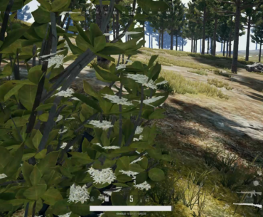 Archived PUBG Footage