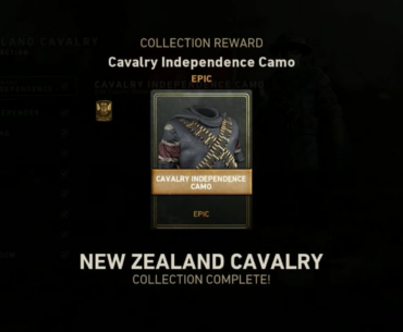 I completed my final Collection today