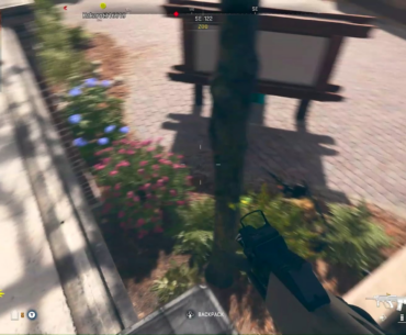 I trimmed a bush